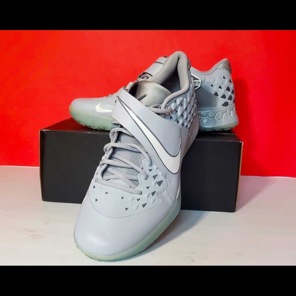 Nike Zoom Sneaks